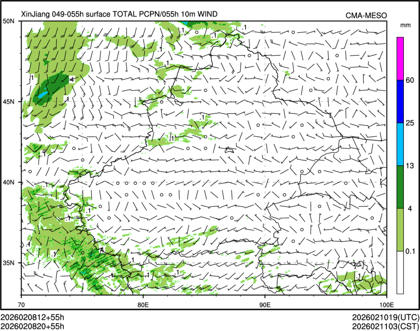 02/08 20时 +055小时