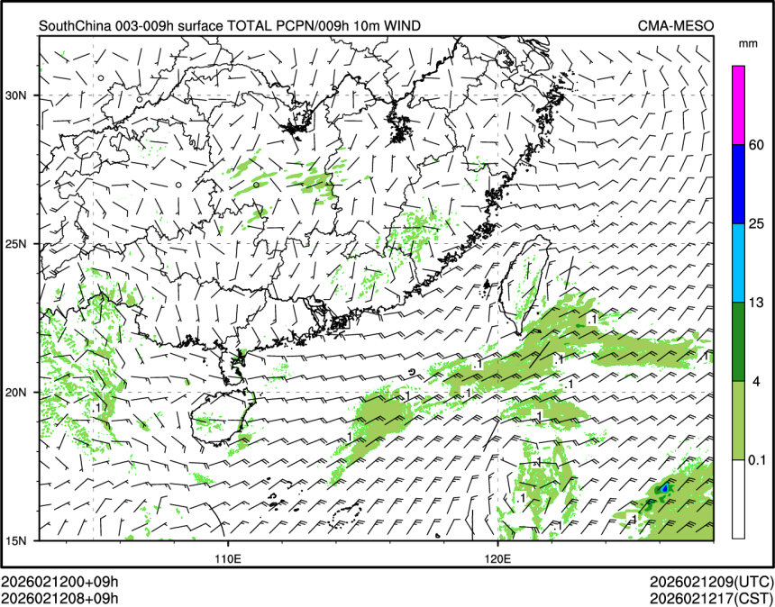02/12 08时 +009小时