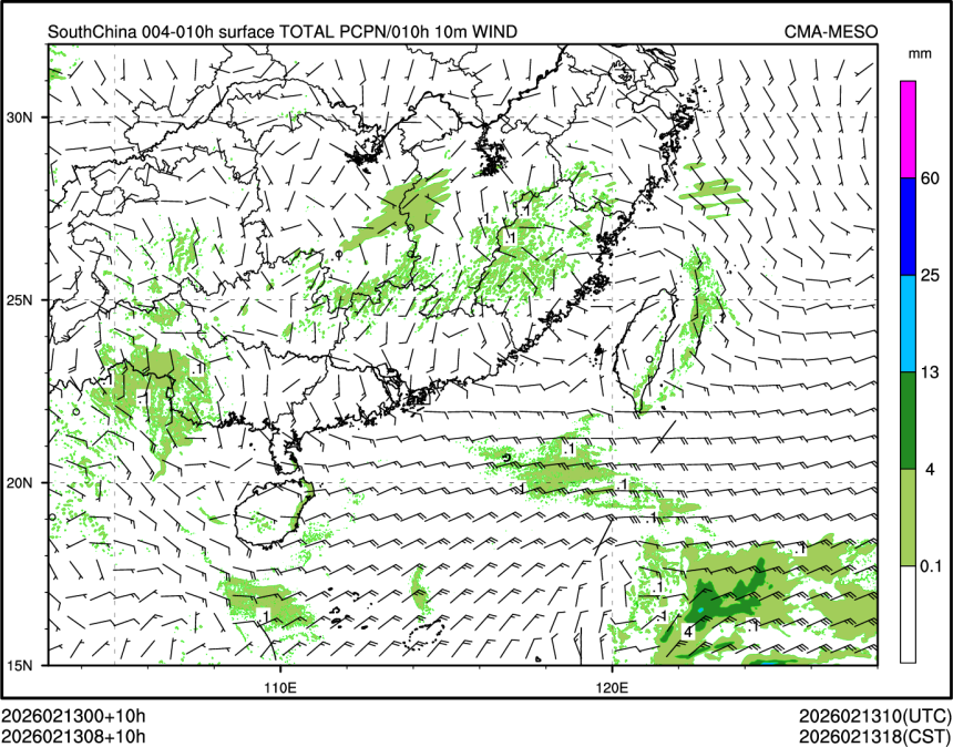 02/13 08时 +010小时