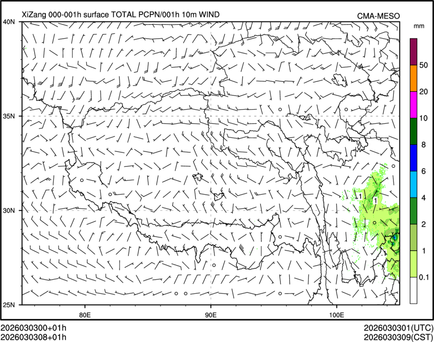 03/03 08时 +001小时