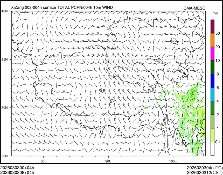 03/03 08时 +004小时