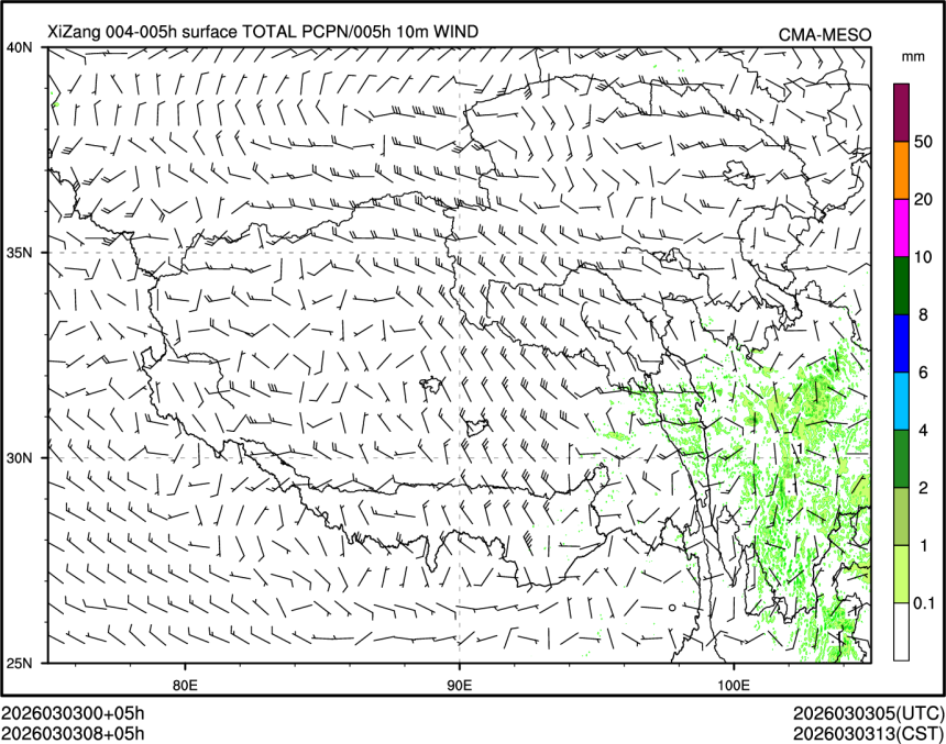 03/03 08时 +005小时