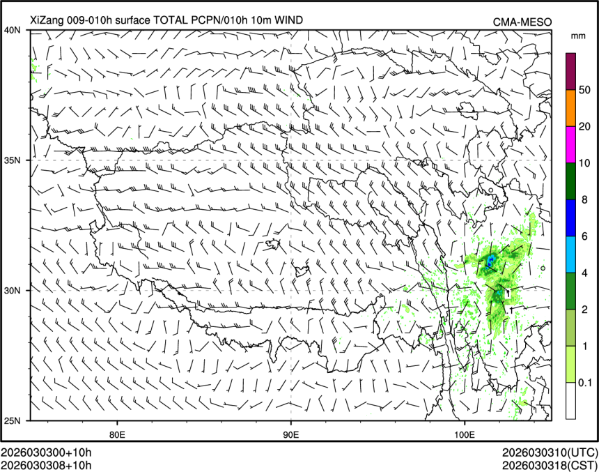 03/03 08时 +010小时