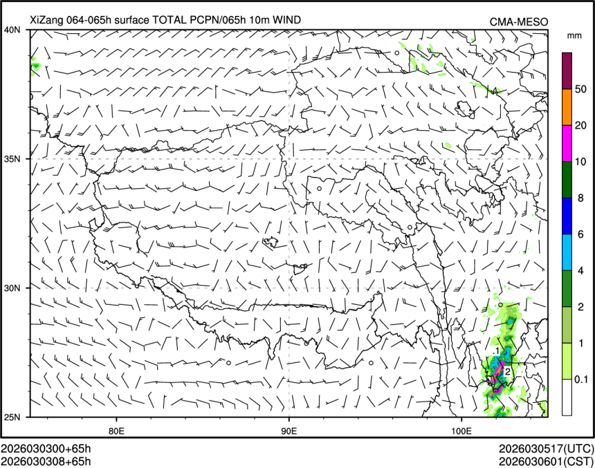 03/03 08时 +065小时