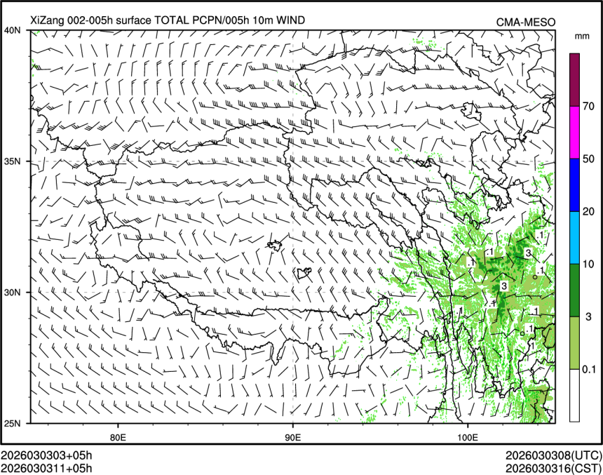 03/03 11时 +005小时