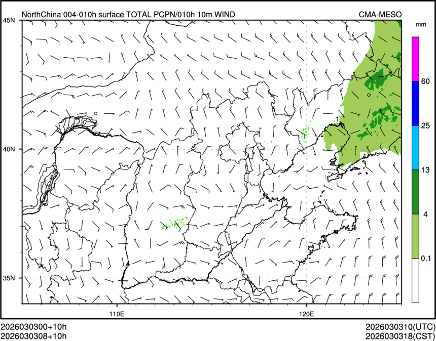 03/03 08时 +010小时