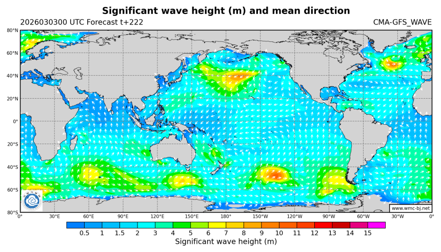 03/03 08时 +222小时