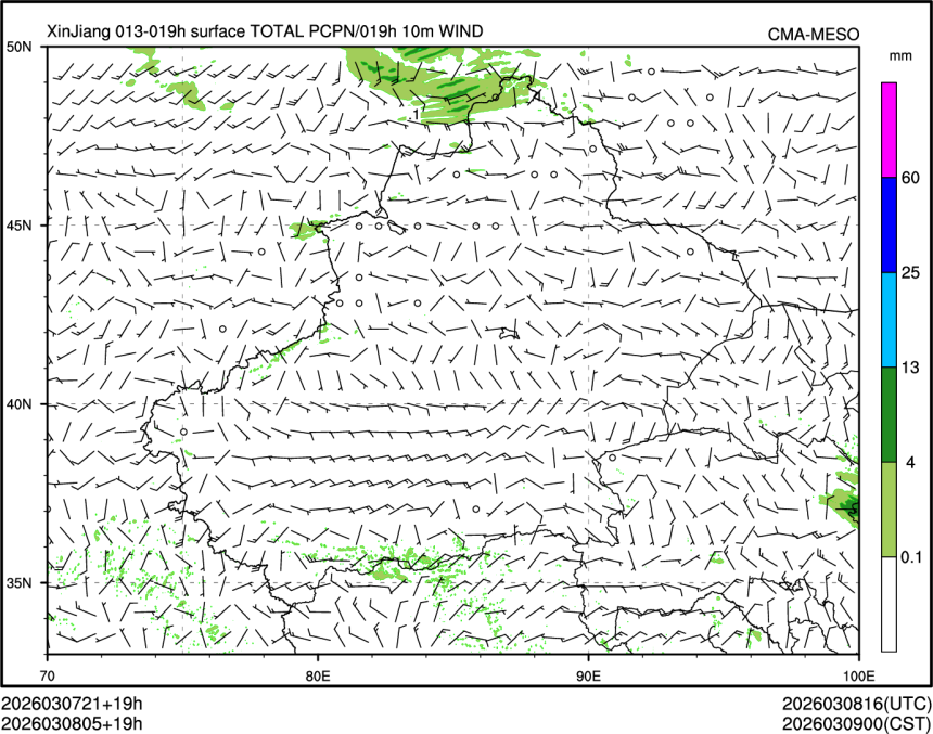 03/08 05时 +019小时
