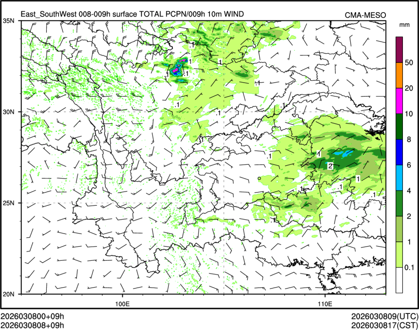 03/08 08时 +009小时