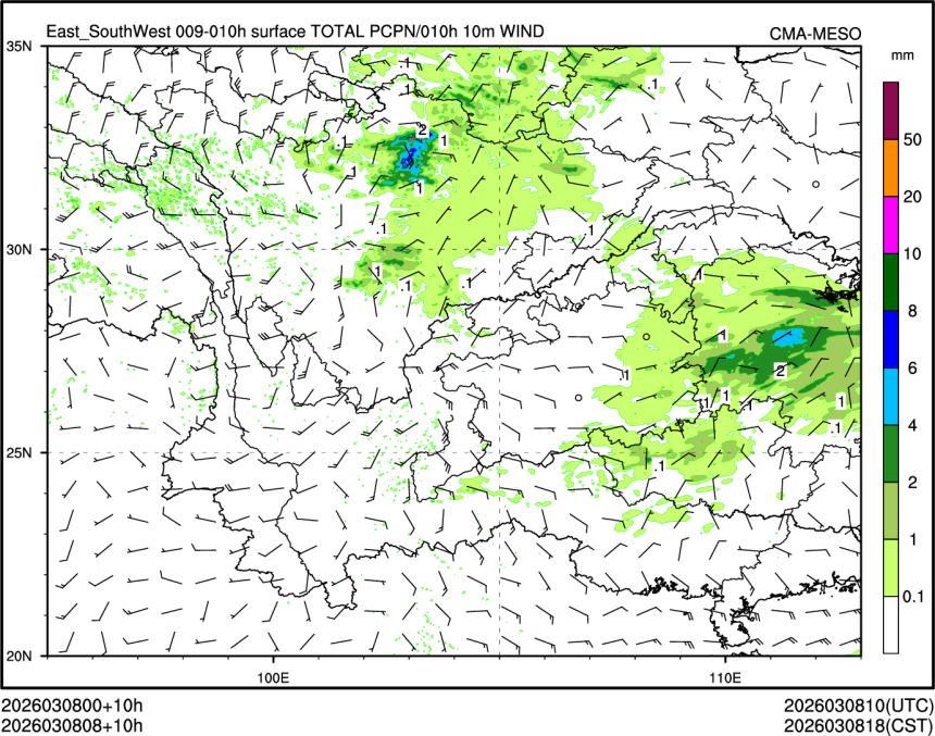 03/08 08时 +010小时
