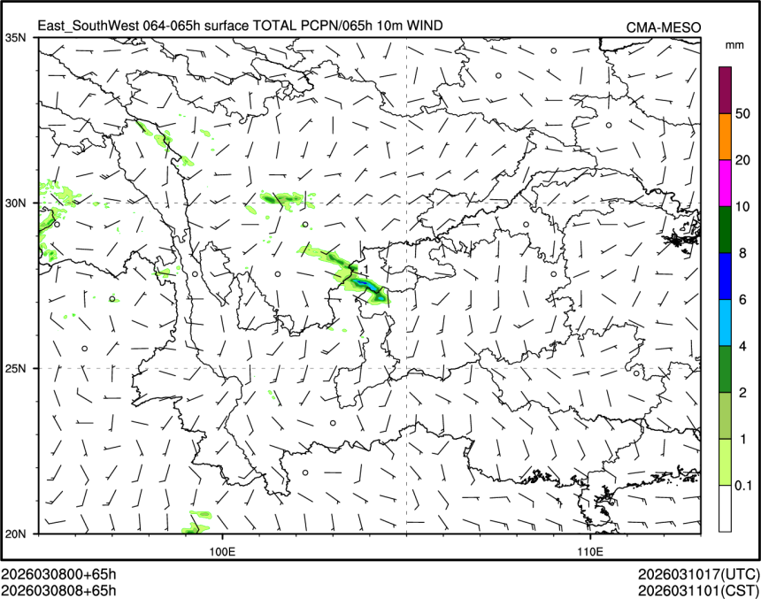 03/08 08时 +065小时