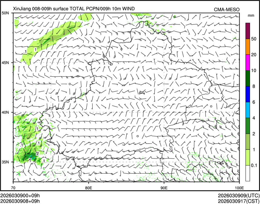 03/09 08时 +009小时
