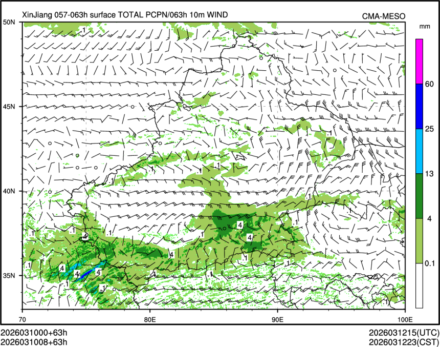 03/10 08时 +063小时