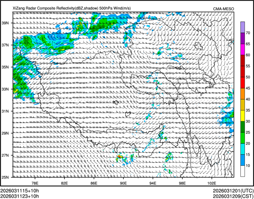 03/11 23时 +010小时