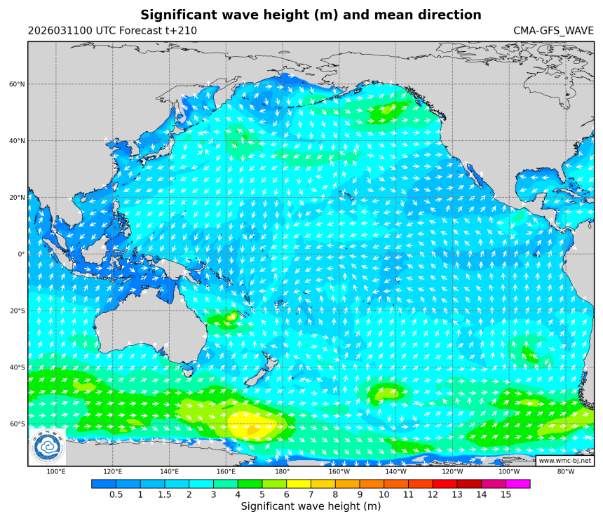03/11 08时 +210小时
