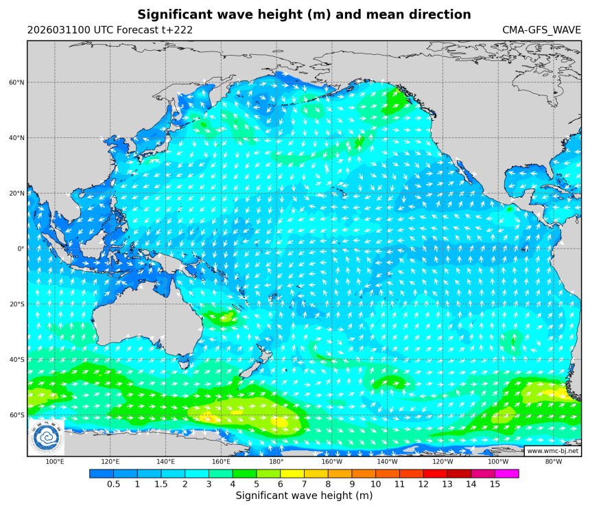 03/11 08时 +222小时