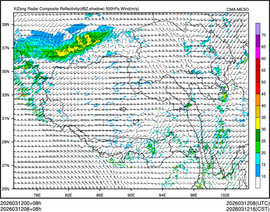 03/12 08时 +008小时