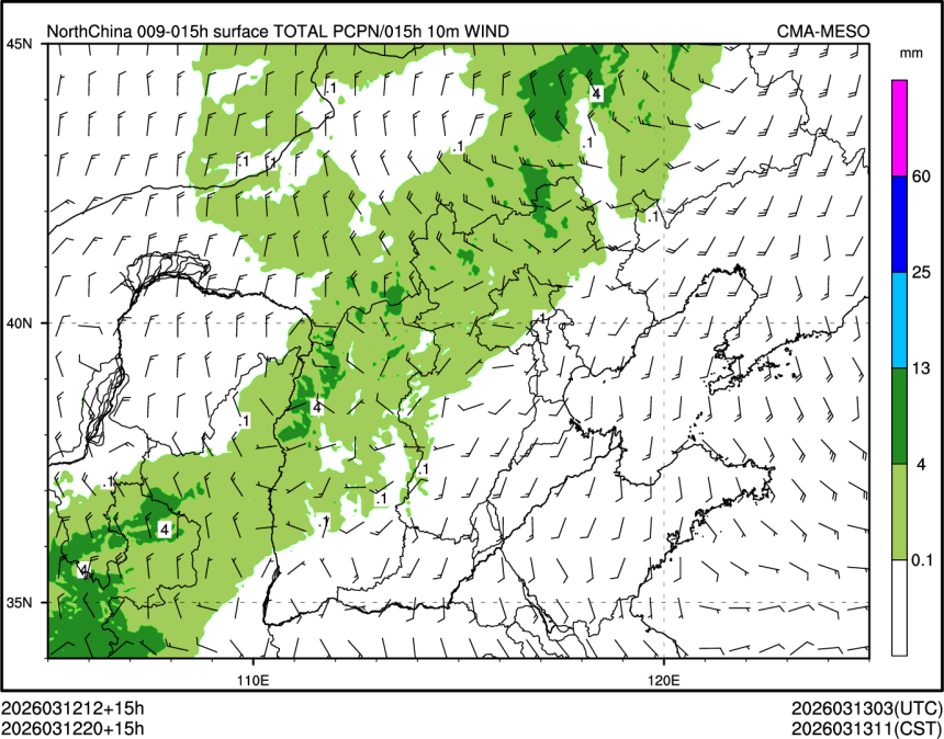 03/12 20时 +015小时