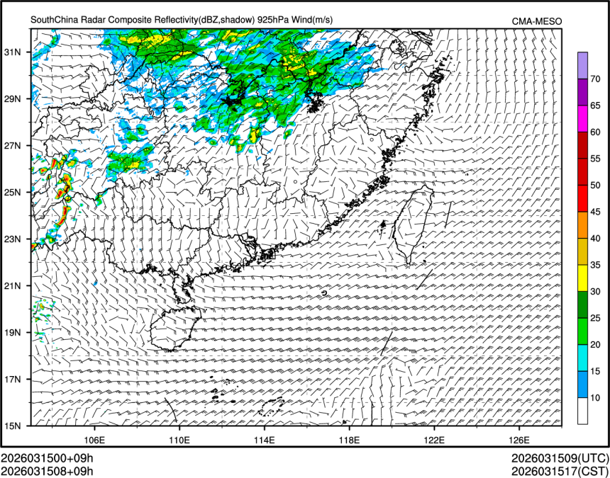 03/15 08时 +009小时