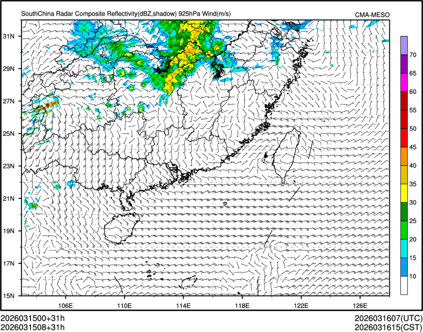 03/15 08时 +031小时
