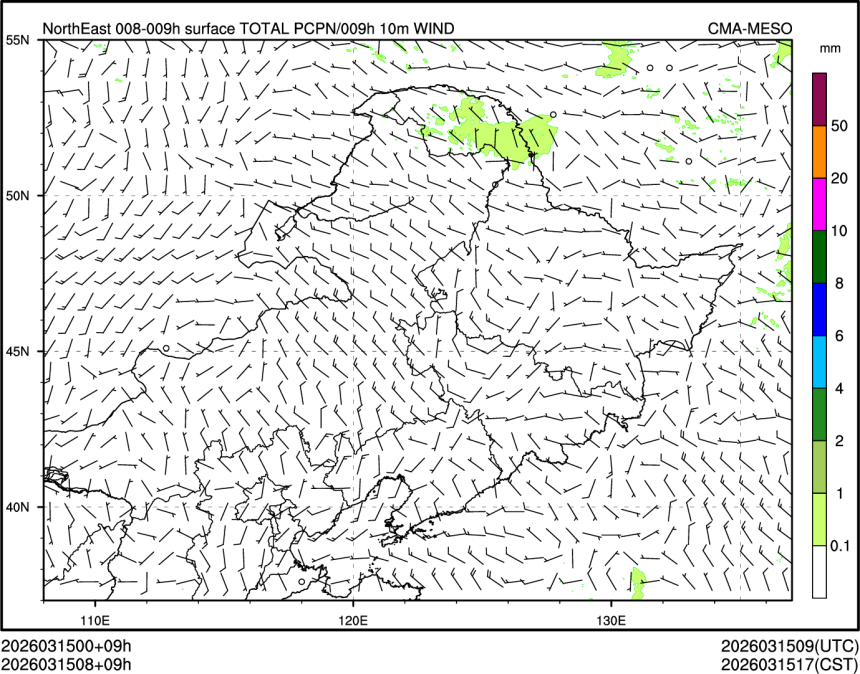 03/15 08时 +009小时