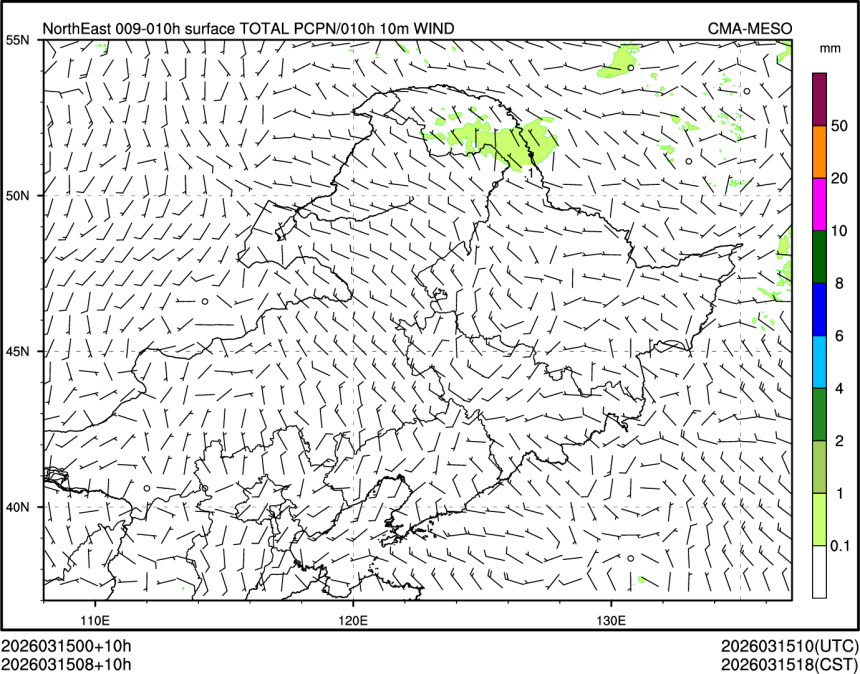 03/15 08时 +010小时