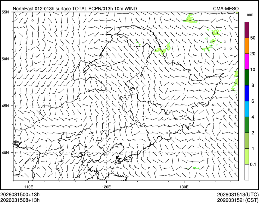 03/15 08时 +013小时