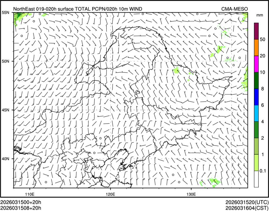 03/15 08时 +020小时