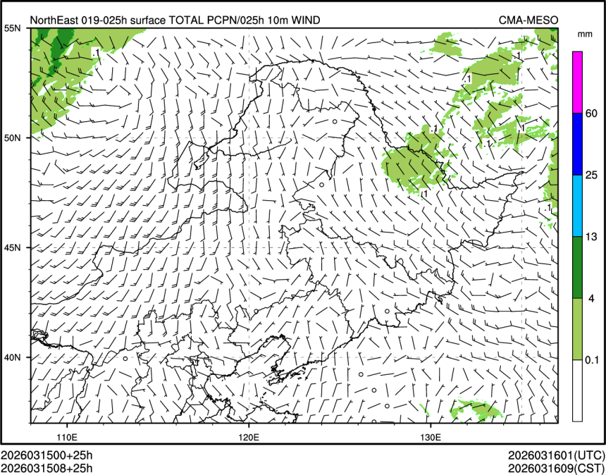 03/15 08时 +025小时