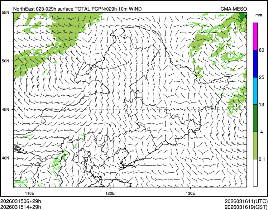 03/15 14时 +029小时