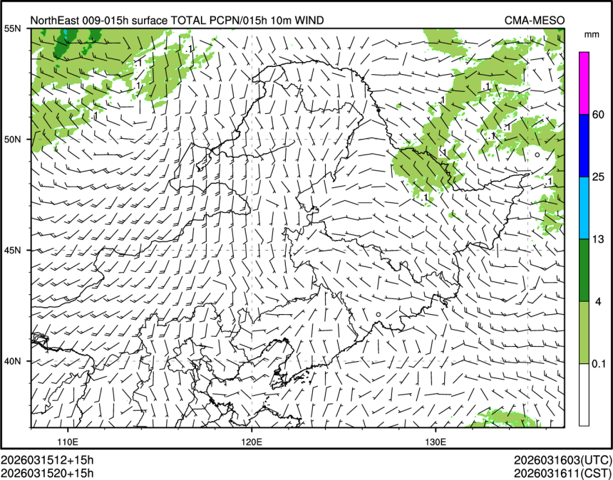 03/15 20时 +015小时