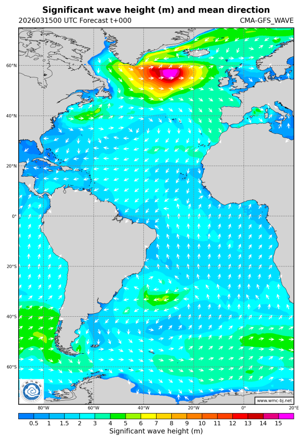 03/15 08时 +000小时