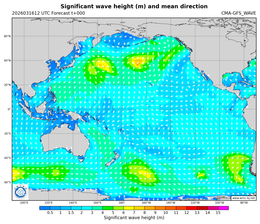 03/16 20时 +000小时