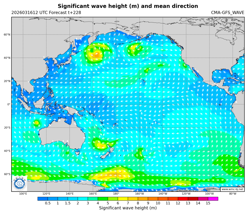 03/16 20时 +228小时