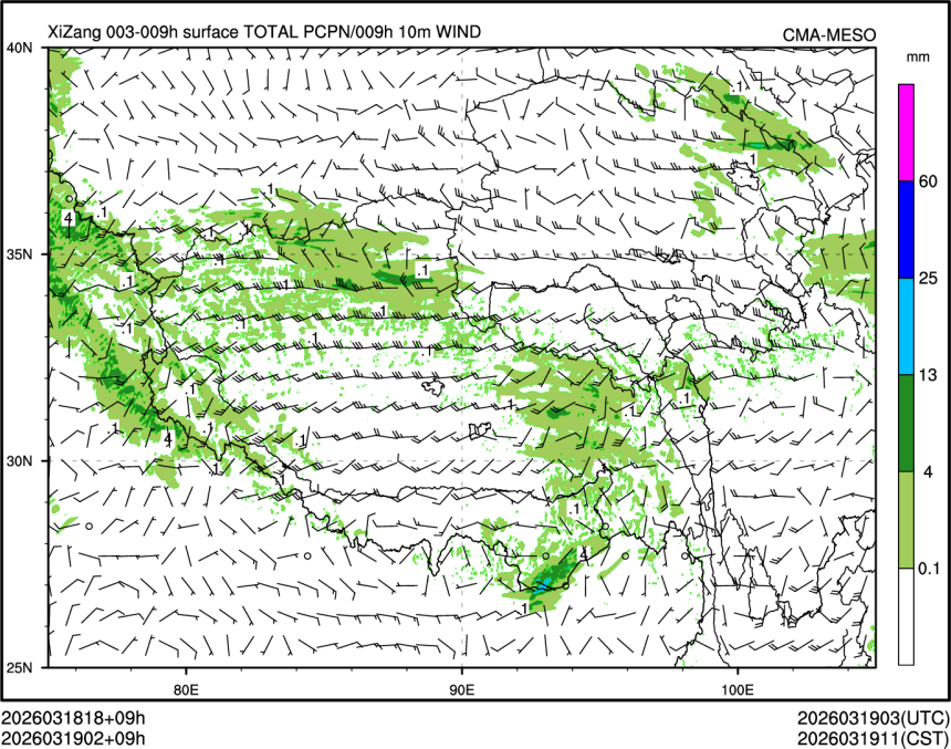 03/19 02时 +009小时