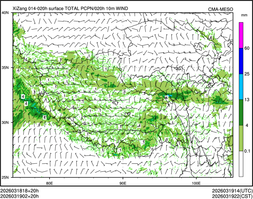03/19 02时 +020小时