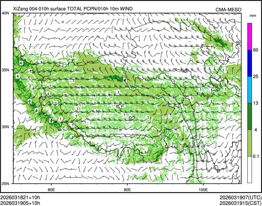 03/19 05时 +010小时
