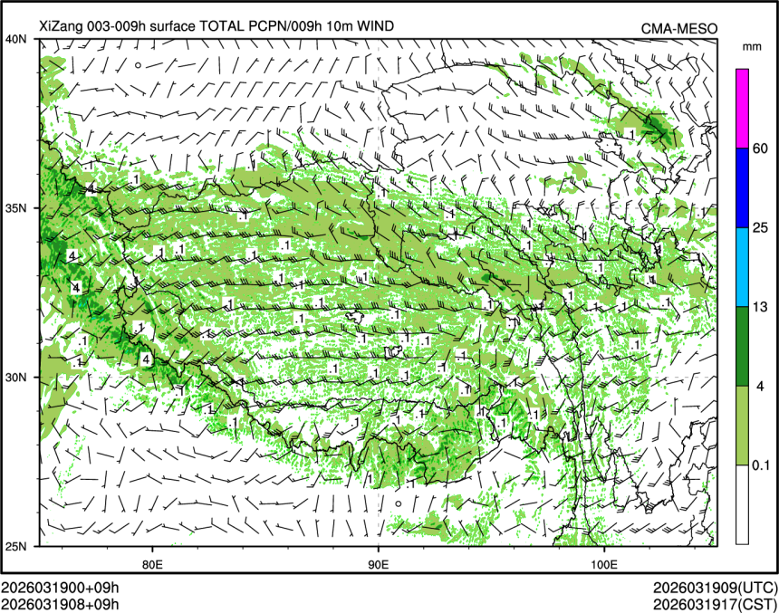 03/19 08时 +009小时