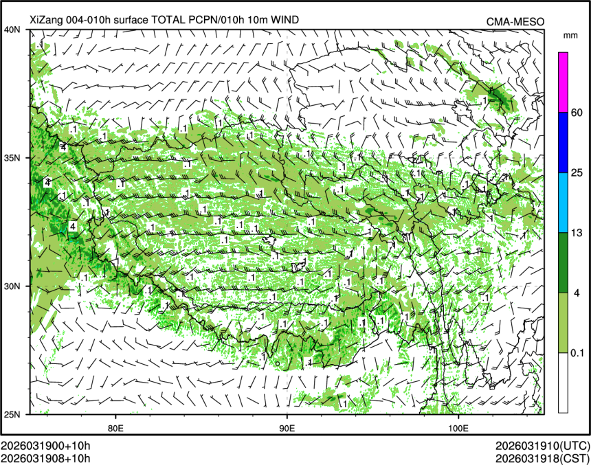 03/19 08时 +010小时