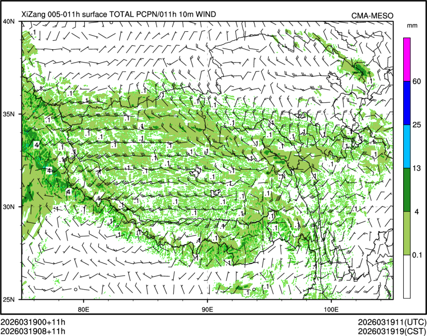 03/19 08时 +011小时