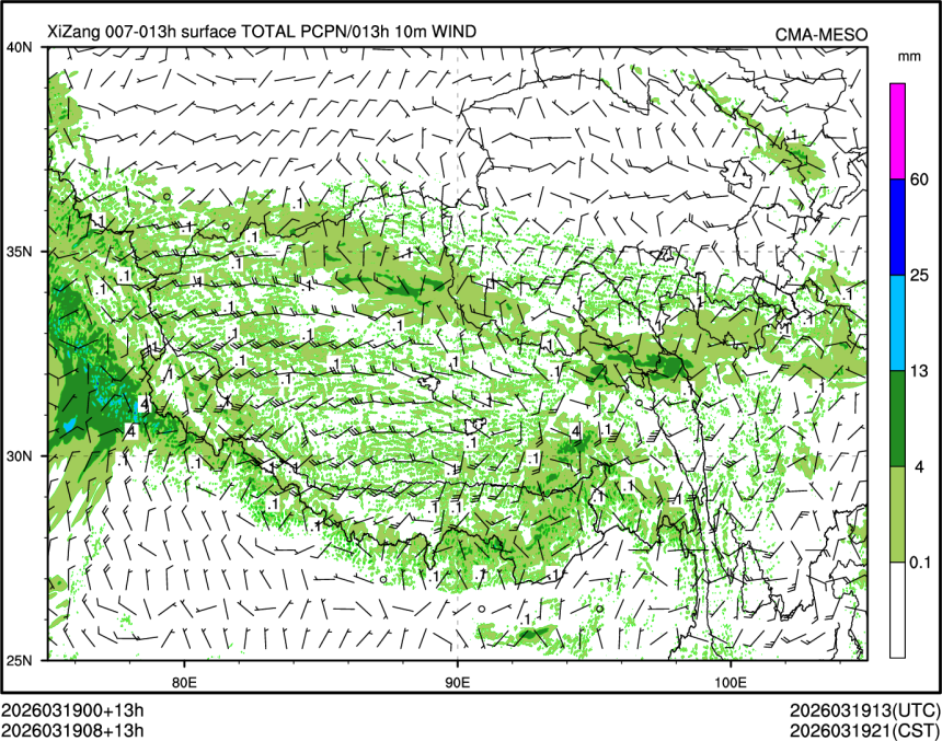 03/19 08时 +013小时