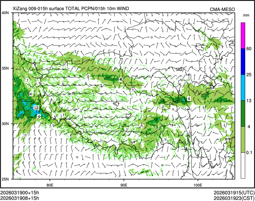 03/19 08时 +015小时
