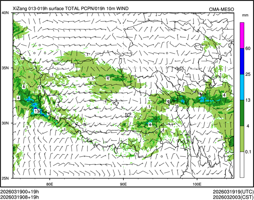 03/19 08时 +019小时
