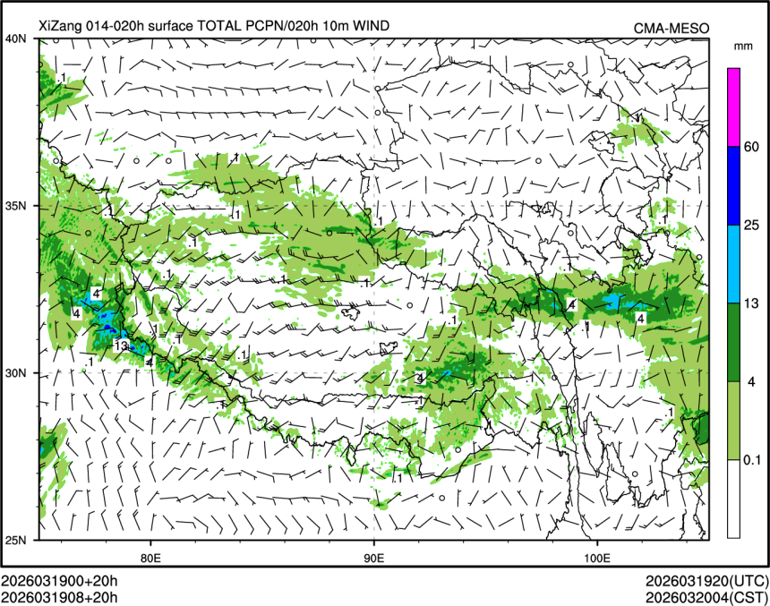 03/19 08时 +020小时