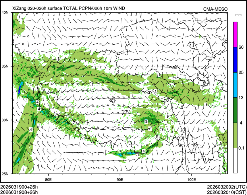 03/19 08时 +026小时