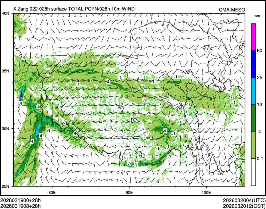 03/19 08时 +028小时