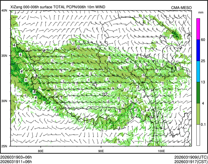 03/19 11时 +006小时
