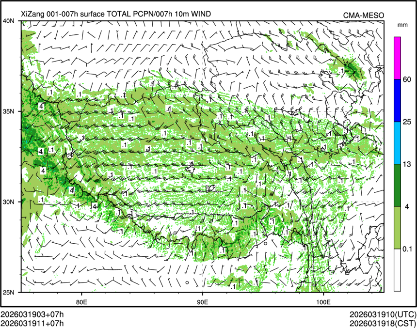 03/19 11时 +007小时