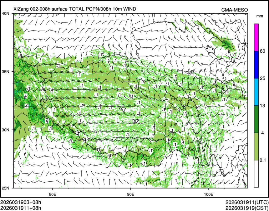 03/19 11时 +008小时