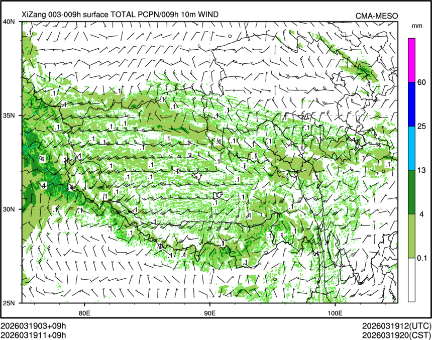 03/19 11时 +009小时